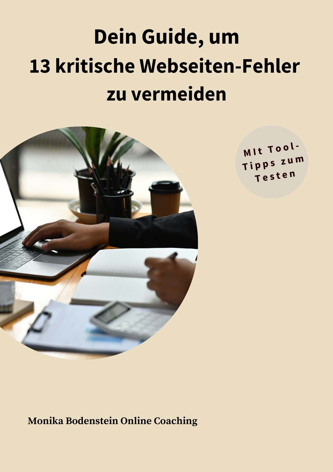 Cover des 13-Punkte-Webseiten-Guides<br />

